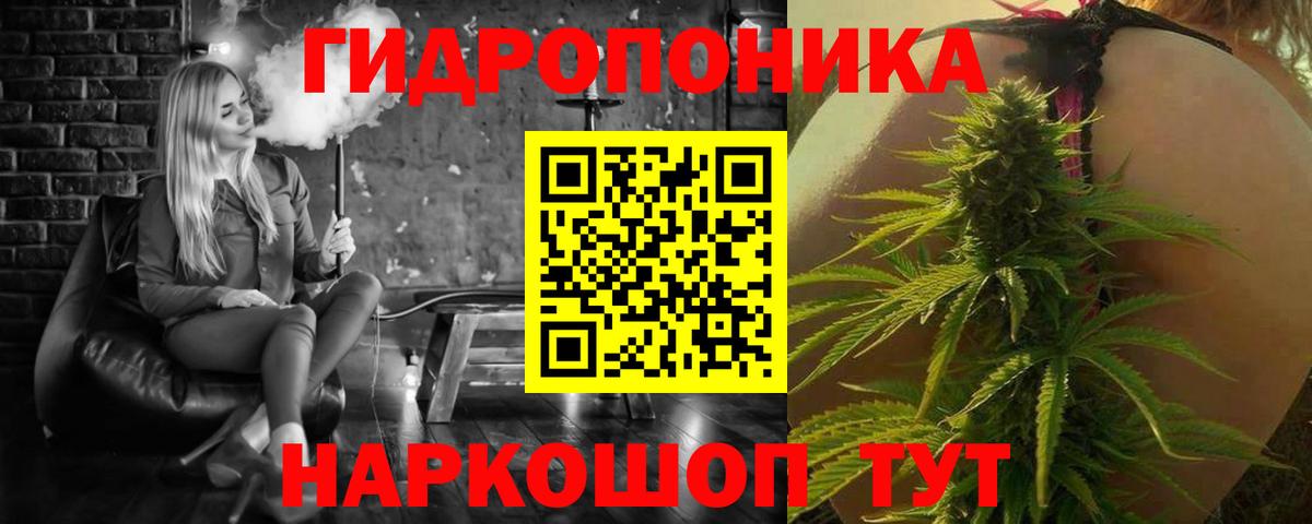 Чернушка  Бошки Шишки Ganja  Каннабис план  Каннабис сатива  Вход с VPN 